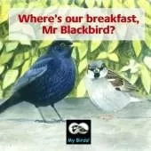 Where's Our Breakfast, Mr Blackbird?