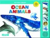 Ocean Animals