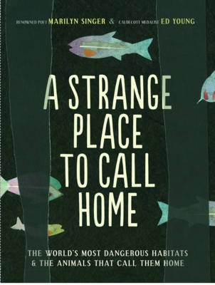 Strange Place to Call Home