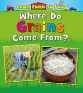 Where Do Grains Come From?