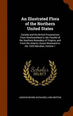 An Illustrated Flora of the Northern United States: Canada and the British Possessions from Newfoundland to the Parallel of the Southern Boundary of Virginia, and from the Atlantic Ocean Westward to the 102d Meridian, Volume 1