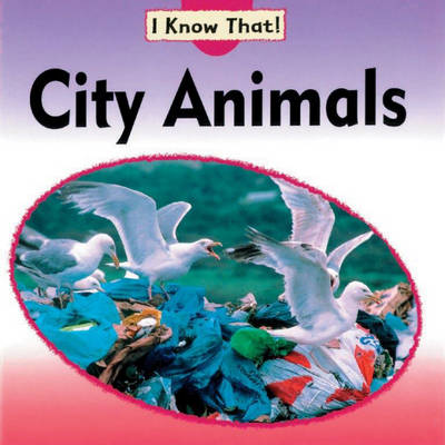 City Animals