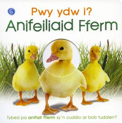 Pwy Ydw I? Anifeiliaid Fferm