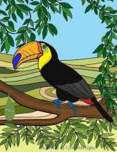 Wild Animals Coloring Book for Kids
