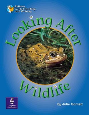 Looking After Pets and Wildlife Year 2