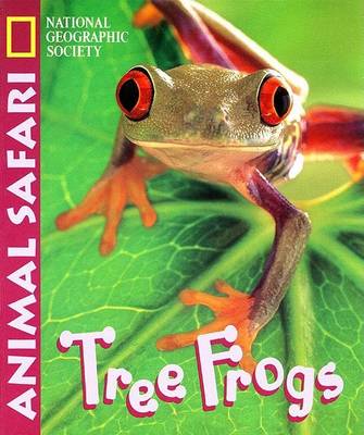 Animal Safari