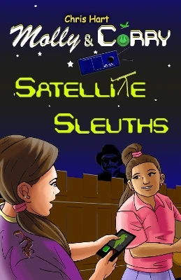 Satellite Sleuths