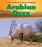 A Desert Animals Pack A of 3