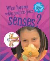 How Your Body Works: What Happens When You Use Your Senses?