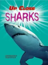 Up Close: Sharks