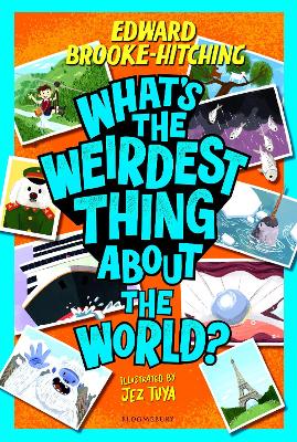 What's the Weirdest Thing About the World?