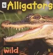 Alligators