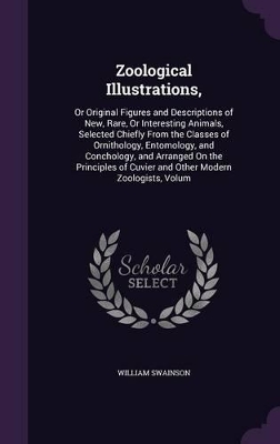 Zoological Illustrations,: Or Original Figures and Descriptions of New, Rare, Or Interesting Animals, Selected Chiefly From the Classes of Ornithology, Entomology, and Conchology, and Arranged On the Principles of Cuvier and Other Modern Zoologists, Volum