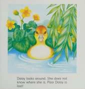 Daisy is Lost