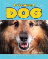If You Were a Dog