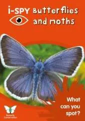 i-SPY Butterflies and Moths: What Can You Spot?