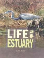 Life In An Estuary