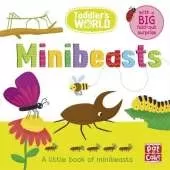Toddler's World: Minibeasts: A little board book of minibeasts with a fold-out surprise
