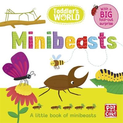 Toddler's World: Minibeasts: A little board book of minibeasts with a fold-out surprise