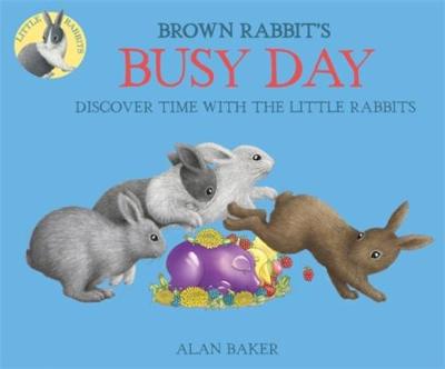 Little Rabbits: Brown Rabbit's Busy Day