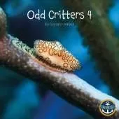 Odd Critters 4