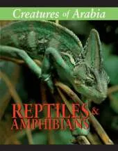 Creatures of Arabia: Reptiles and Amphibians