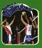 Spike it Volleyball