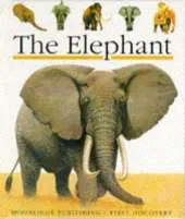 The Elephant