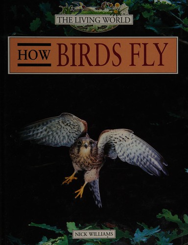 How Birds Fly