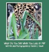 What Do You See When You Look at Me?