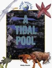 A Tidal Pool