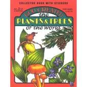 God Created the Plants & Trees of the World