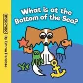Max-moo What is at the Bottom of the Sea?