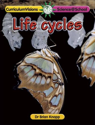 Life Cycles