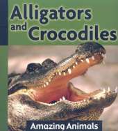 Alligators and Crocodiles