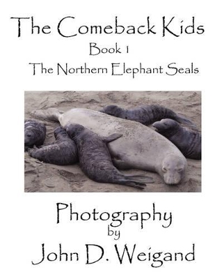 "The Comeback Kids": The Northern Elephant Seals