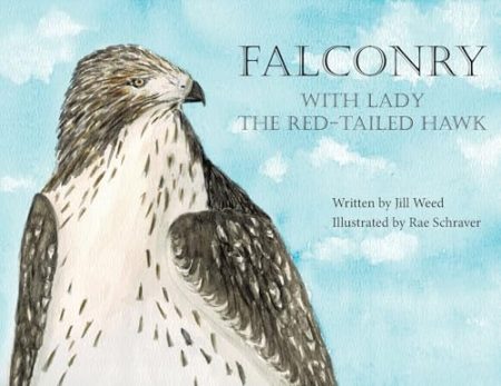 Falconry, With Lady the Red-Tailed Hawk