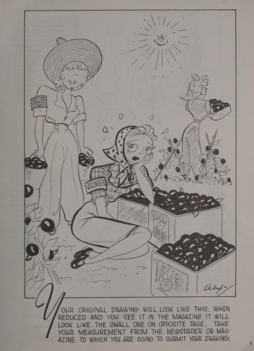 Story Cartoons