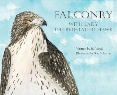 Falconry, With Lady the Red-Tailed Hawk