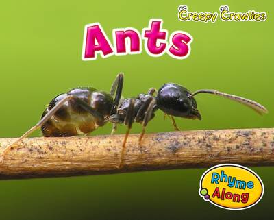 Creepy Crawlies Pack B of 4