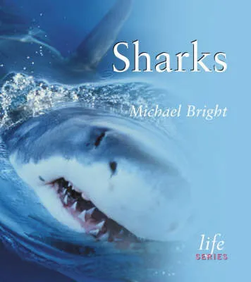 Sharks