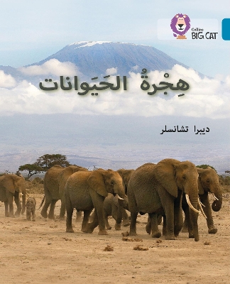 Animal Migration: Level 13