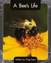 A Bee's Life