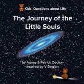 Journey of the Little Souls