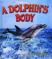 A Dolphin's Body