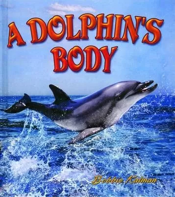 Dolphins Body