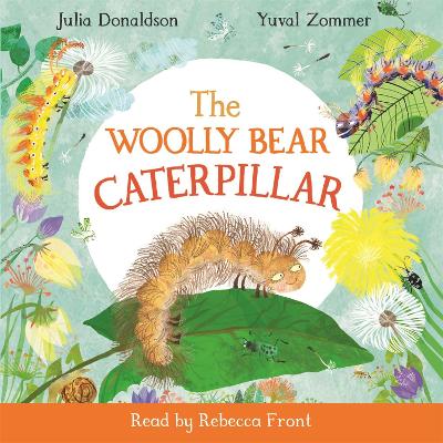 The Woolly Bear Caterpillar