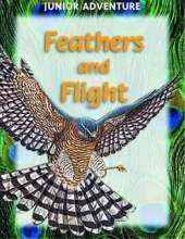 Feathers and Flight