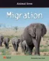 Animal Lives Migration