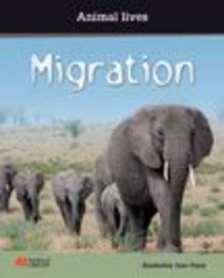 Animal Lives Migration
